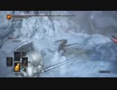 ソウルキャノンボール　stage６　葱塩と鉄人騎士団  1/2