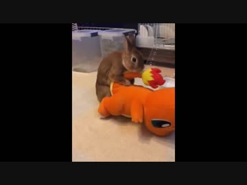 遠野をガン掘りする野獣先輩（全年齢対象版）