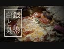 白銀と臭素