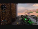 【COD BO4】装備頼りの対人戦110【TDM100】
