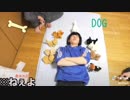 癒しだけじゃない！【TikTok】で見つけた賢くて可愛いペット特集