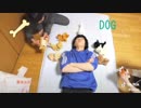 癒しだけじゃない！【TikTok】で見つけた賢くて可愛いペット特集