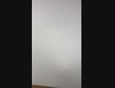 テスト_T