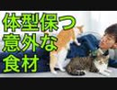 ゆるい筋トレでも体型を保てる意外な食べ物がこちら