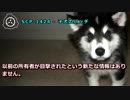 SCP-1424 - 子犬のパッチ