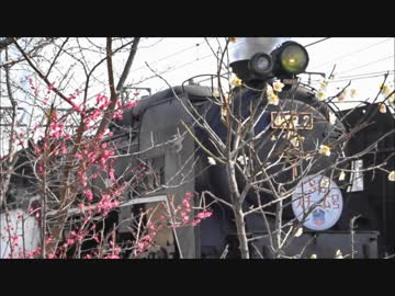 梅と蒸気機関車