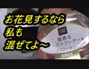 LAWSON　桜香るチーズスフレケーキを食べてみた。