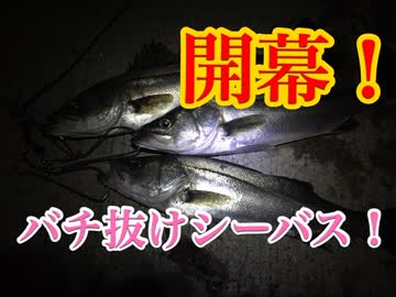 バチ抜けシーバス！開幕戦！【もっち釣動組合♯44】