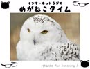 【イケボ＆カワボのトークバラエティ】#203　めがねこタイム
