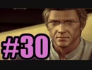 【実況】お義父さん！！【FF13】#30