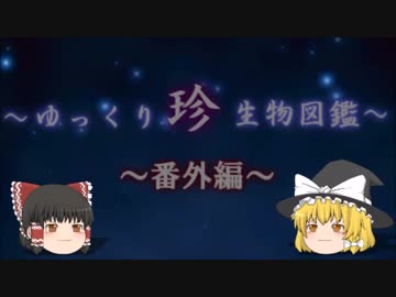 ～ゆっくり　珍　生物図鑑～　番外編35