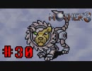 【実況】奇妙で、おもしろい。そして、せつない。RPG【MOTHER3】Part30