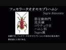 迷惑外来種を防除しようPart3フェモラータオオモモブトハムシ