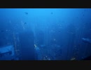 和田勝海　Aerial View Of City With Fog