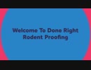 Done Right Rodent Proofing : Mice Exterminator in Novato