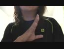 ヒカリヘ、ライオンハートのまとめ。cover by sign with L