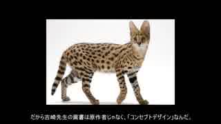 人気の 原作者は原作読め 動画 14本 ニコニコ動画