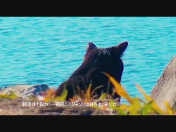 ファッキンウェンディーズ