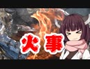 アウトドアで火事になりバラ肉の油のエネルギーに驚愕する動画