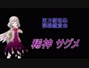 東方紺珠伝-弾幕鑑賞会 「稀神 サグメ」