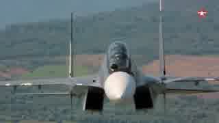 【ロシア軍MAD】Sukhoi Fighters