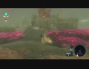 【実況】完全初見のゼルダの伝説ブレスオブザワイルドpart41