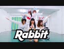 【ひじり×saka×宮多】Rabbitを踊ってみた【みぽやますずこ】