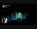 【第１０夜】眠れぬ夜のHOLLOW KNIGHT【実況】