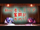 初心者レミリア奮闘記その17