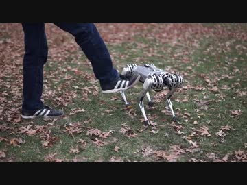 四足歩行ロボット Mini Cheetah（ミニチーター）