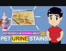 Pet Stain Removal Calgary – Oxygenie Calgary