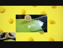 【圣屠】レモンでlemonをしてみた（bilibili動画）
