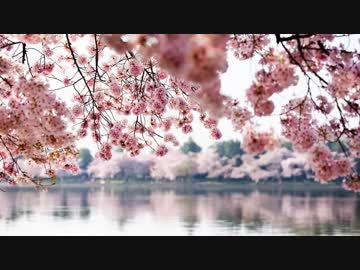 旅立ちの日に… -instrumental-