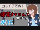 【日刊】入国審査官になって密入国者を見抜け！『Papers, Please』35日目【女性実況】