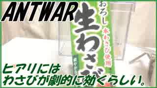 ヒアリ対策にワサビが効くそうなので、実際に検証してみた！