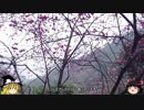 【初海外】台湾一人旅その3【日本語しかわからん】
