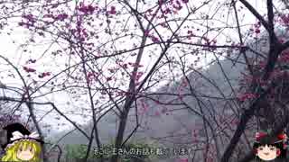 【初海外】台湾一人旅その3【日本語しかわからん】