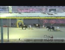 【２２連勝！記録更新】2019年3月2日帯広競馬9R とかち晩冬賞(A2-1) ホクショウマサル