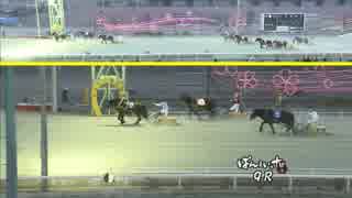 【２２連勝！記録更新】2019年3月2日帯広競馬9R とかち晩冬賞(A2-1) ホクショウマサル