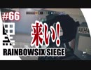 #66【 RAINBOWSIX SIEGE 】- コクトのFPS実況