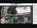 東武動物公園　KDUおねえさんのオリヒメちゃんバースデーガイド　2017/11/8