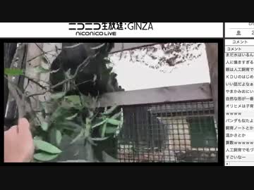 東武動物公園　KDUおねえさんのオリヒメちゃんバースデーガイド　2017/11/8