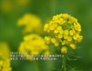 誕生日に贈る言葉～3月3日生まれの高潔な精神のあなたに－聴きものがたり