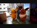 【海外の反応】ポケモンの日ニンテンドーNYショップの反応  Pokémon Day 2019 at Nintendo NY 『ポケットモンスター ソード』『ポケットモンスター シールド』