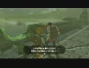【ゼルダの伝説BotW】完全初見でクリアするpart8