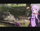 【BFV】ゆかりさんの野良専ドンパチファイティング - 8【VOICEROID実況】
