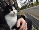 【ゆっくり】貴族かぶれが日本を楽しむ 徳島編　3日目