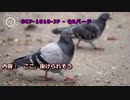 SCP-1810-JP - QRバード