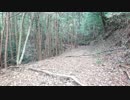 初投稿記念おまけ