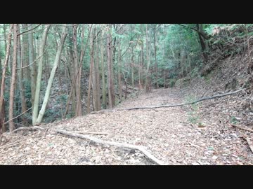 初投稿記念おまけ